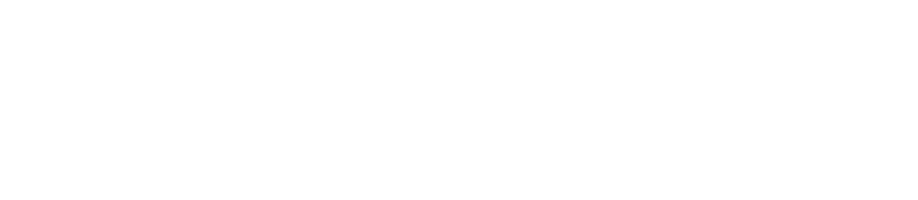 logo light